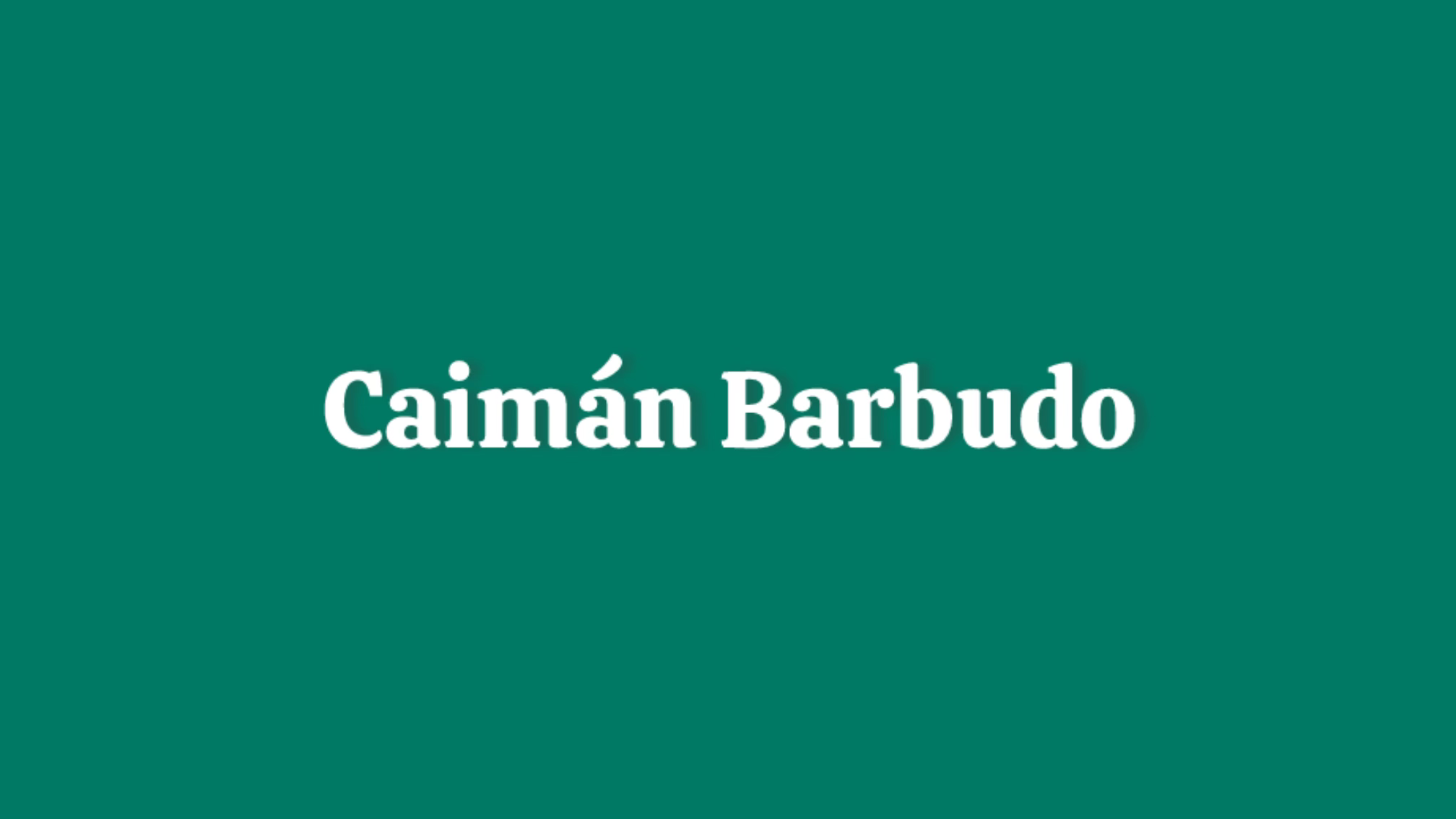 Caimán Barbudo