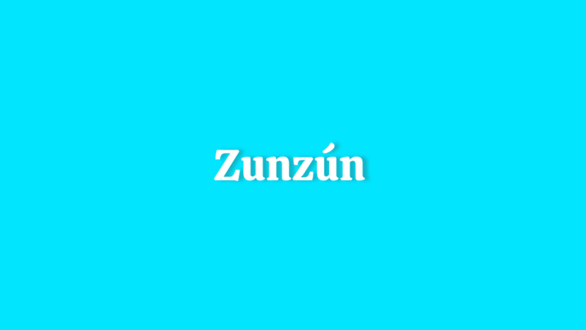 Zunzún
