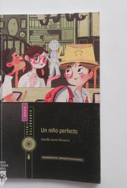 Un niño perfecto